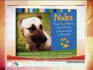 Cachorro percorre 112 km para reencontrar fuzileiro naval