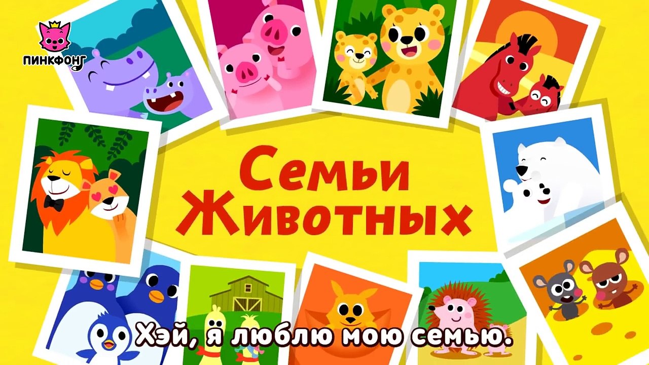 Песни для детей - КУКУТИКИ - Веселые песенки про машинки, животных, семью - Мегасборник