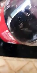 Une araignée trouvée dans une bouteille de coca !