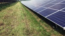 Moha: le plus grand champ de panneaux photovoltaïques en Wallonie