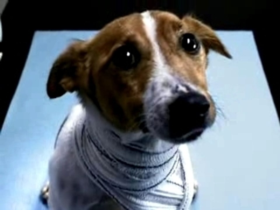 Léa Passion Vétérinaire