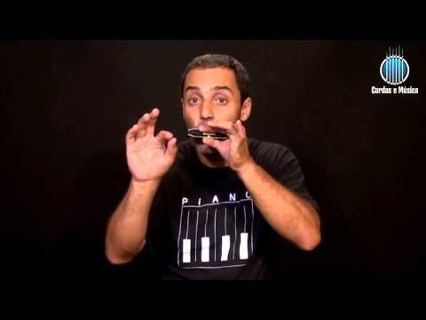 Gaita (AULA GRATUITA) - Aprendendo a escala de Dó Maior na Gaita Diatônica - Cordas e Música