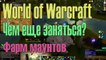 Фарм маунтов Чем заняться World of Warcraft для чайников