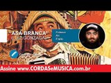 Asa Branca - Luiz Gonzaga (AULA DE GAITA) - Cordas e Música