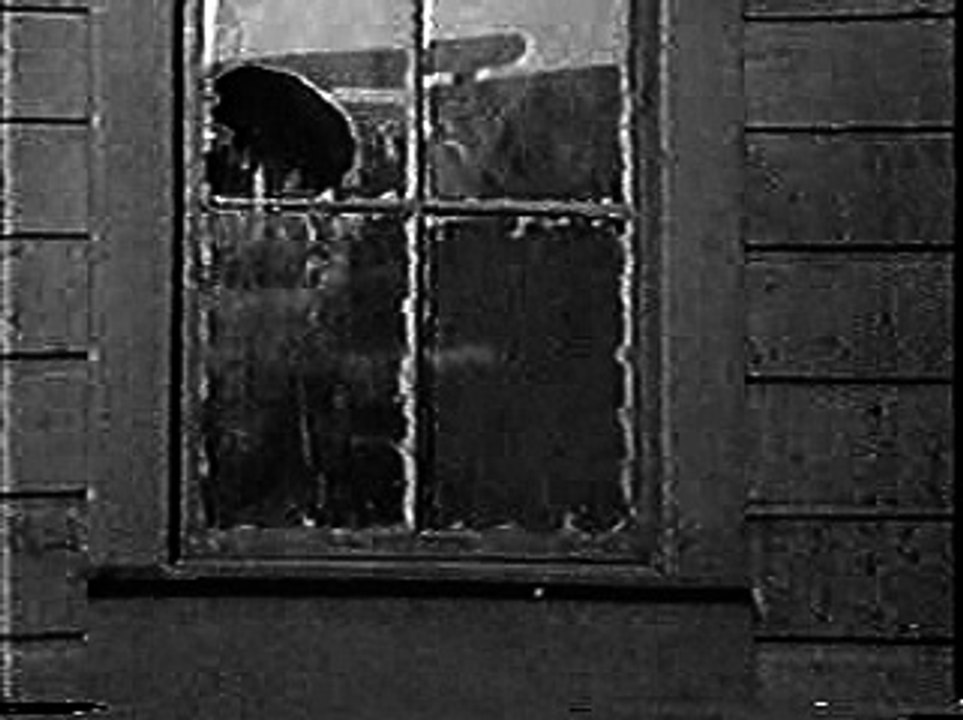 Alice's Spooky Adventure  (1924)