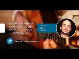 Violão Flamenco (AULA GRATUITA) - Conhecendo os principais Palos Flamencos - Cordas e Música