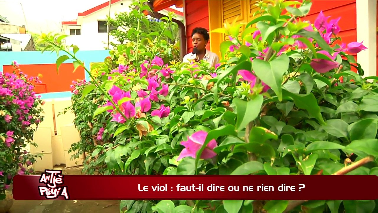 ATPA 29 05 18 VIOL DIRE RIEN DIRE FABIENNE SAINTE ROSE OK