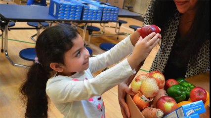 Spotlight Series Interview: Catherine D’Amato, The Greater Boston Food Bank