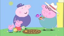 Peppa Pig Season 4 Episode 12 ✿ Peppa and Georges Garden✿