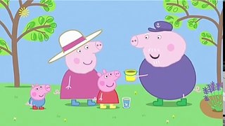Peppa Pig English Episodes Full Episodes   New Compilation 2017   Peppa Pig in English #20 part 1/2