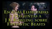 Escenas eliminadas, preguntas a J K Rowling y otras noticias sobre Fantastic Beasts