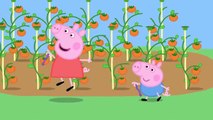 Peppa Pig English Episodes Full Episodes   New Compilation 2017   Peppa Pig in English #44 part 2/2