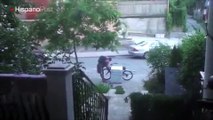 Este sujeto intenta llevarse el congelador en su bicicleta