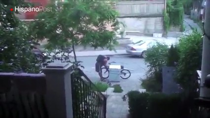 Este sujeto intenta llevarse el congelador en su bicicleta