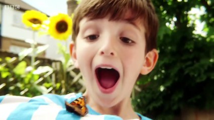 Topsy and Tim Full Episodes   S2E12  Wiggles' Trip