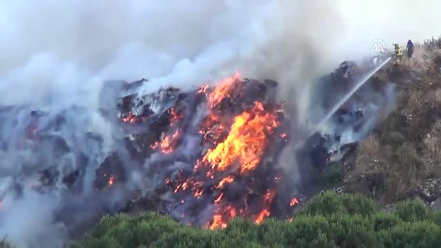 Ayvalık'ta Çöplük Yangını - Balıkesir