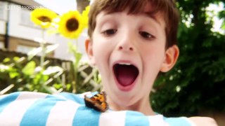 Topsy and Tim Full Episodes   S2E03  New Friend