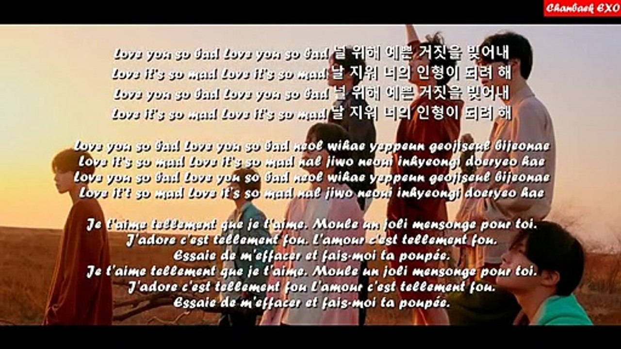 BTS - Fake Love - LYRICS - (Han-Rom-Vostfr)