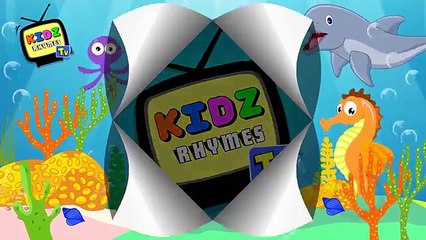 Finger Family Collection | Skeleton Finger Family (Spiderman and Robot) Finger Family| And Many More