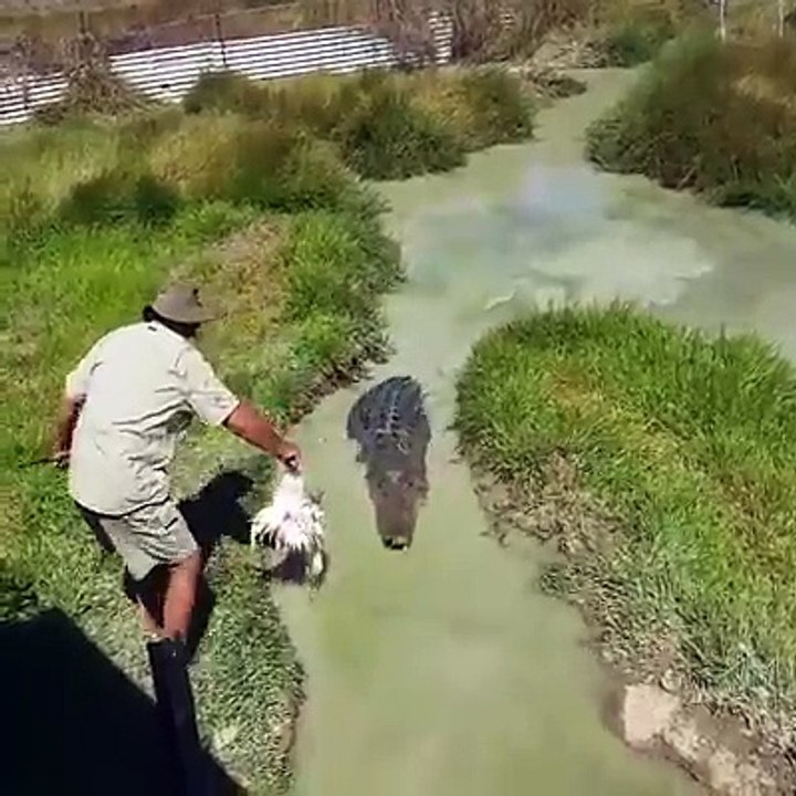 demaciado guapo