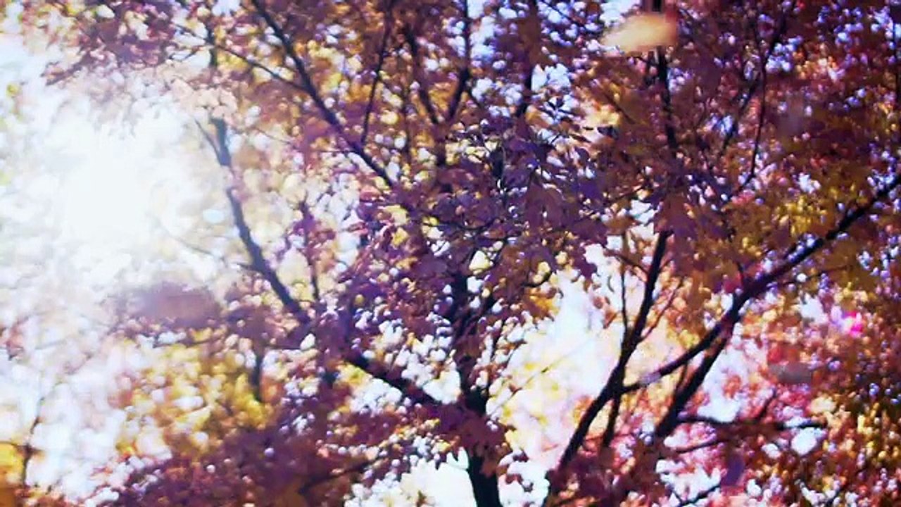 Ve Hiçbir Şey Asla Bunu Mahvedemez