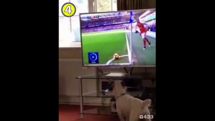 BEST FUNNY FOOTBALL SOCCER VINES 2018! -funny football fails