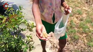 Smart Children Catch Crab Using Bamboo Net Trap - How To Catch Crab In Cambodia
