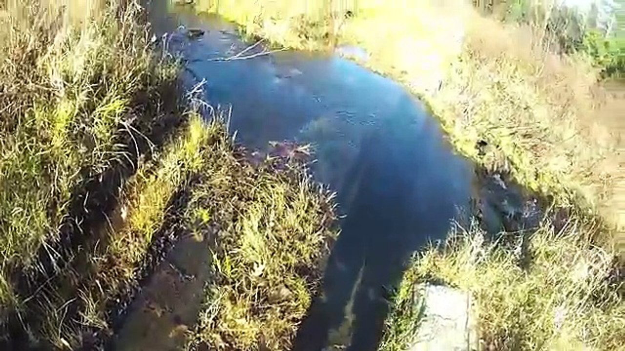 GoPro Deer Hunting