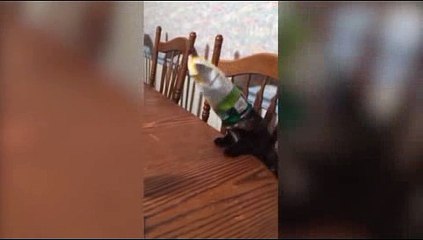 온라인바카라추천- ( ^^【 ＣARＤ328。ＣoＭ 】^^) -온라인바카라추천