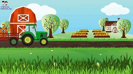 Desene Animate Educative in Romana. Animale Domestice, Fructe, Culori. Copilasi Dragalasi