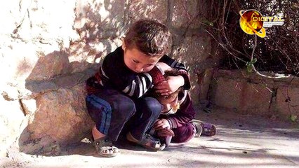 Esha Gupta Talk About Syria | News | HD Video