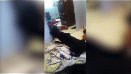 우리카지노주소우리카지노계열- (￥【 ＣARＤ328。ＣoＭ 】￥) -카지노총판모집