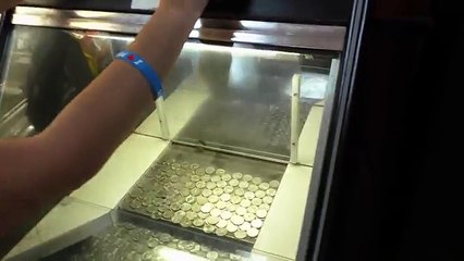 You Win some quarters, you LOSE even more! - Coin Pusher