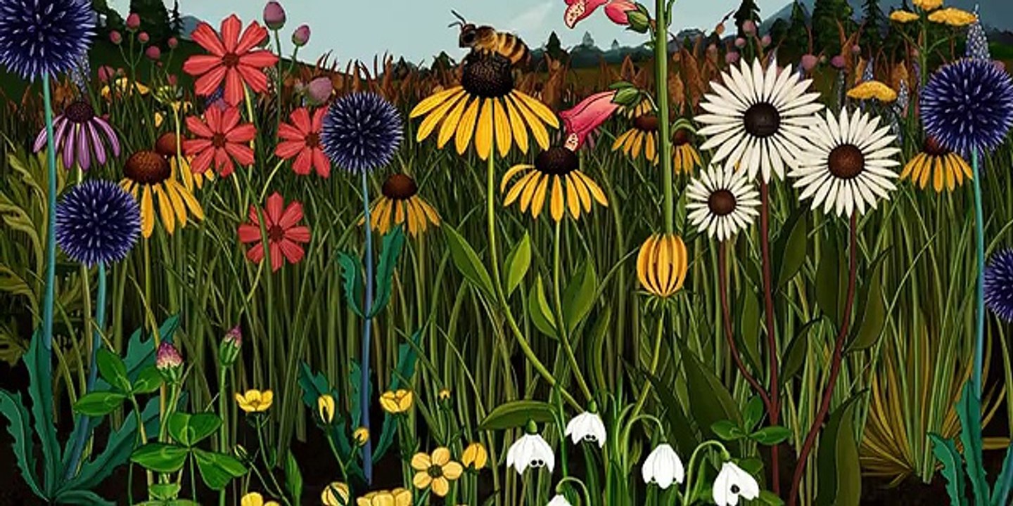 Botanik Animasyonu “Çiçekler Öyküsü” İzle