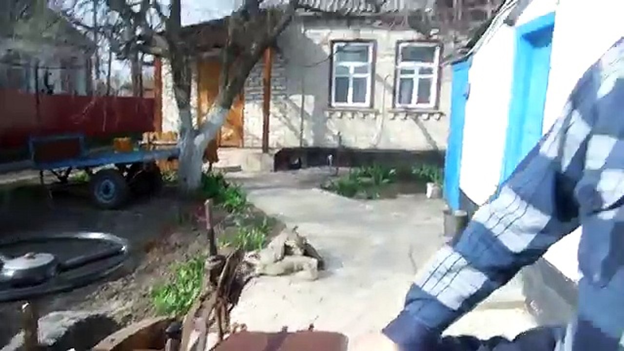 минитрактор с двигателем зид