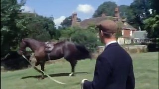 Show jumping in the 1960s Featuring Hickstead and Douglas Bunn