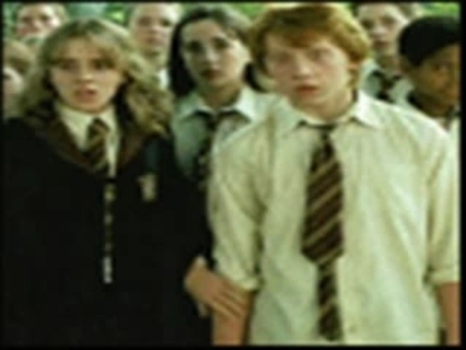 Ron & Hermione