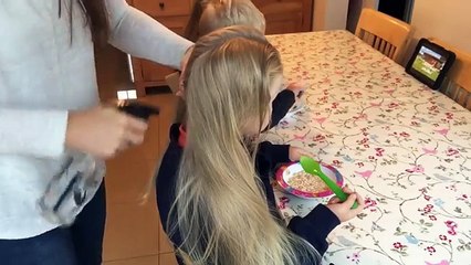 Parallel French Braid Pigtails Hair Tutorial by Two Little Girls Hairstyles