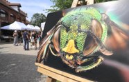 Les abeilles à la loupe à Strasbourg