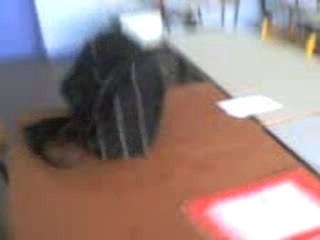 Quand on se fait chier en aménagement