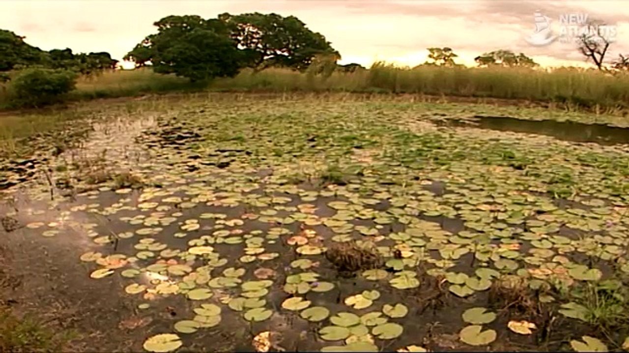 Mozambique: Life after Death (full documentary)