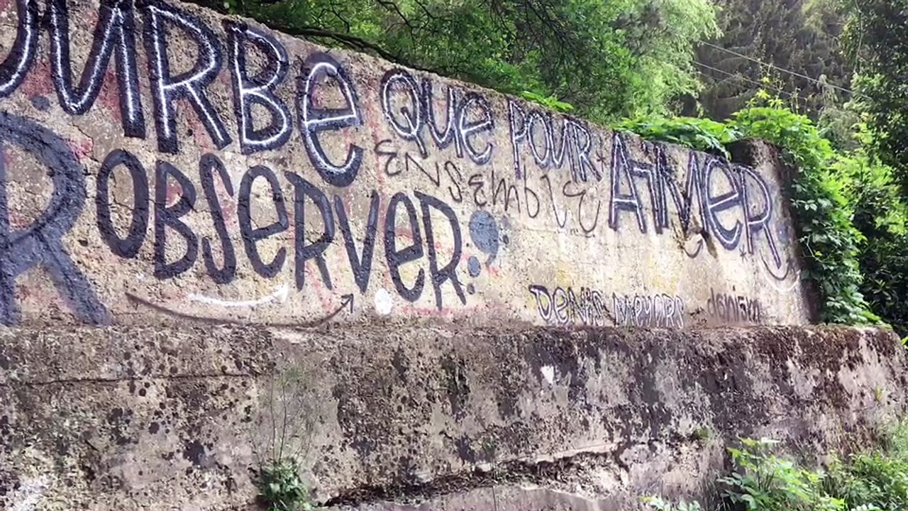 La Roche: l'artiste Denis Meyers  a transformé le pont du tram en oeuvre d'art