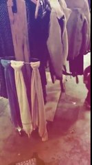 BALTA escondiéndose - 12 de Mayo