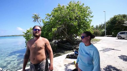 Shark Diving!  - Sailing Doodles Episode 83