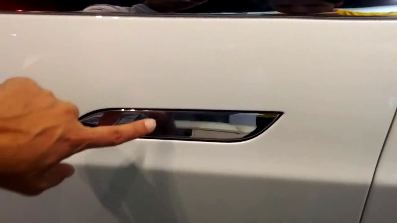 Tesla Model S Door Handle