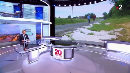 Météo : la grêle a endommagé les vignobles bordelais