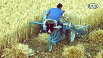 BCS 3 Wheel Reaper Binder Wheat Harvesting Solution ( 360 X 640 )