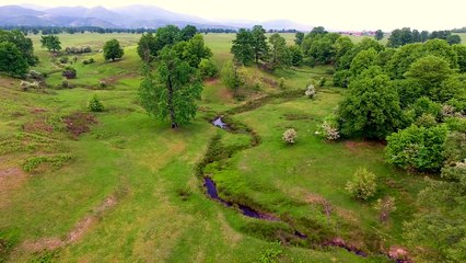 Roberta Crintea - Nu-s bogata, n-am avere - NOU 2018 !!!