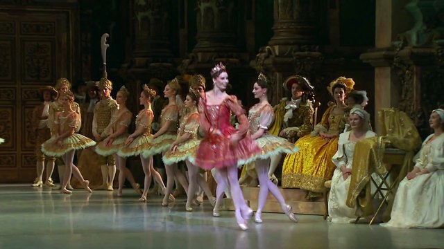 Sleeping beauty fairy variation - Sabrina Mallem