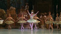 Sleeping beauty fairy variation - Heloise Bourdon